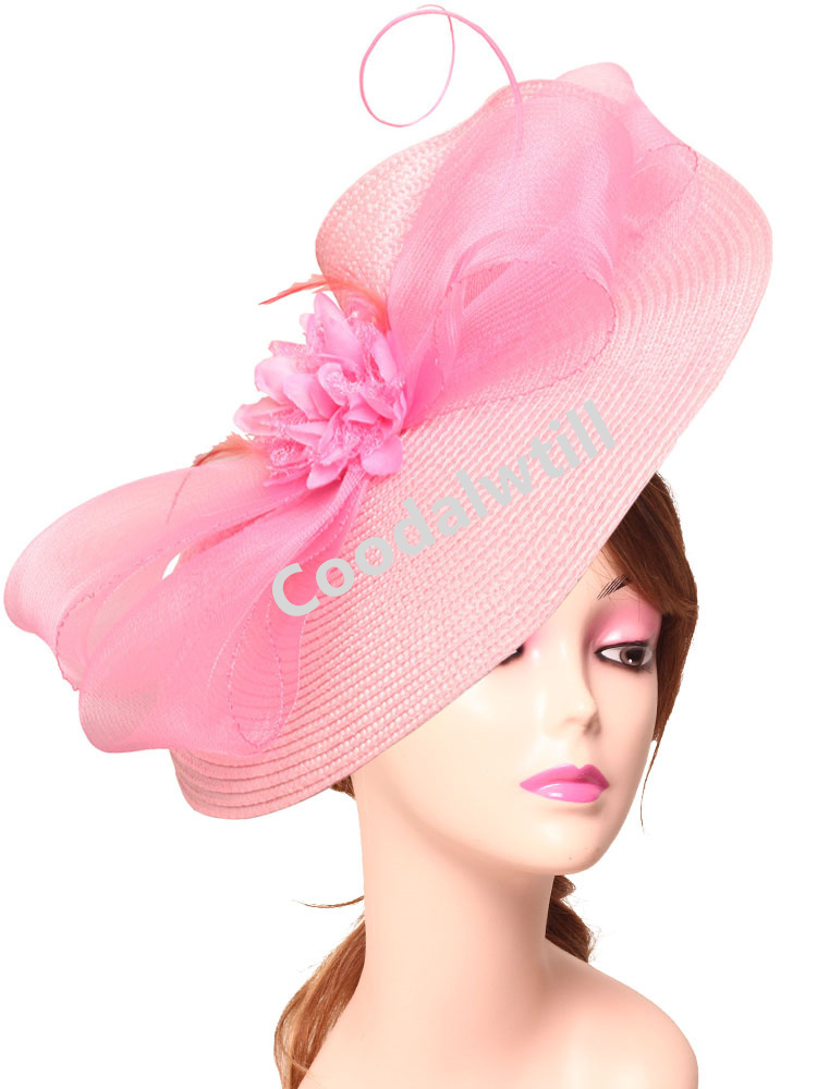 Elegant Tea Party Fascinator P – обзор и цена Women'S Fashion Kentucky Derby