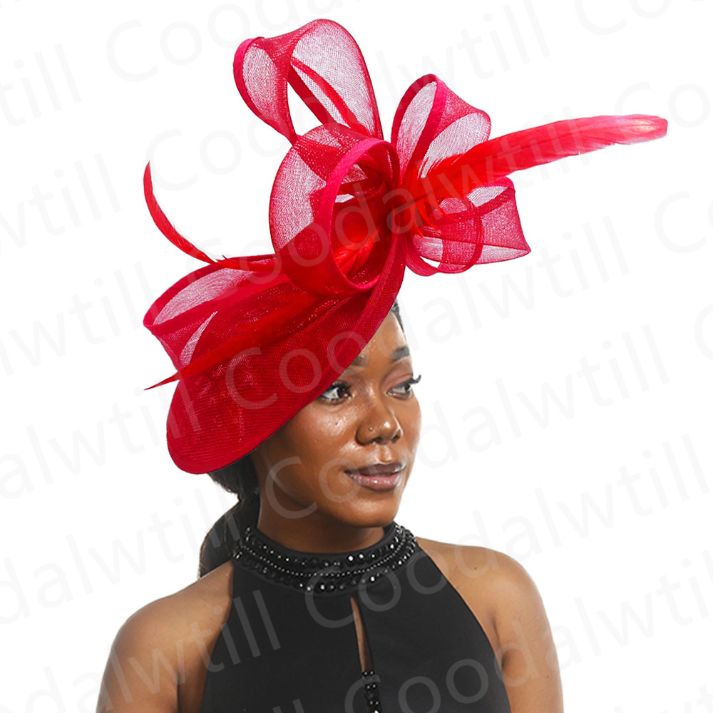 New Pillbox Fascinator Hat Wom – обзор и цена Women'S Fashion Kentucky Derby